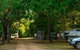 Douglas Daly Holiday Park - thumb 6