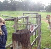Boronia Farm Farmstay - Accommodation NT