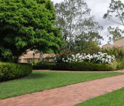 Barossa Weintal Hotel Motel - Accommodation NT 2