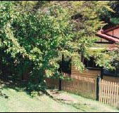 Apple Tree Cottage - Accommodation NT