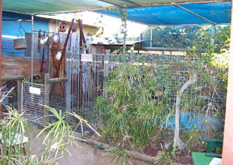 Safari Lodge Motel - Accommodation NT 1