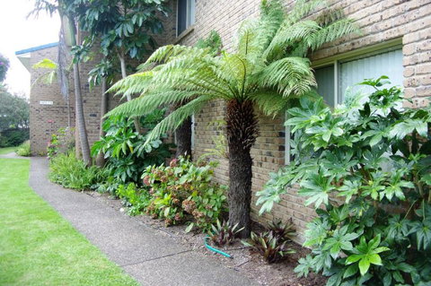 Beachfront Units Merimbula - Accommodation NT 3