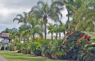 Forster Palms Motel - Accommodation NT 2