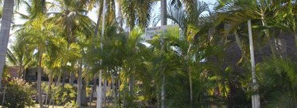 Pine Tree Motel - Accommodation NT 2
