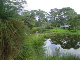 Crystal Springs Homestead - Accommodation NT 1