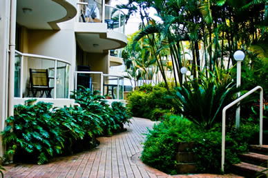 Miami Beachside Apartments - Accommodation NT 9