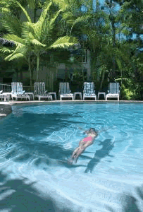 The Lookout Noosa Resort - Accommodation NT 7
