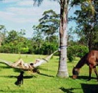 Neds Bed Horse O Tel - Accommodation NT