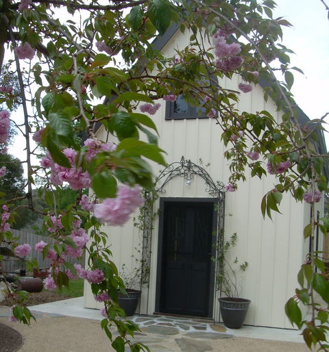 Silverleaf Cottage - Accommodation NT 0