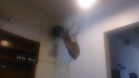 Union Hotel - Accommodation NT 0