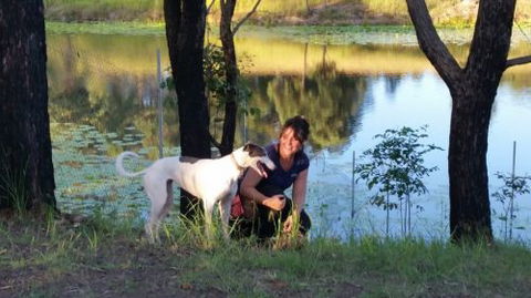 Wingham Pet Motel - Accommodation NT 2