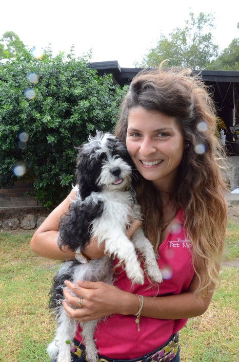 Wingham Pet Motel - Accommodation NT 5