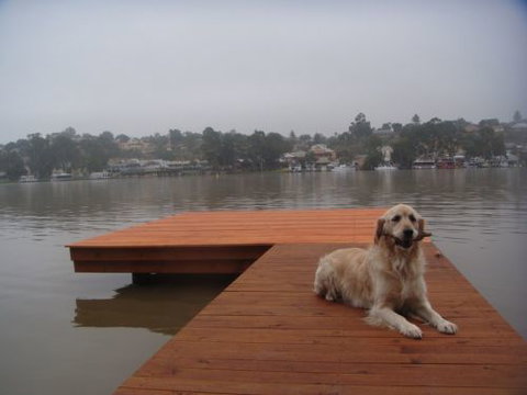 Eleven From The Left - Accommodation NT 0