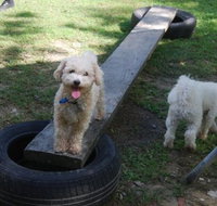 Beenleigh Pet Motel - Accommodation NT