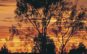  Accommodation NT