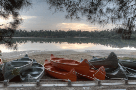 Boambee Bay Resort - Accommodation NT 5