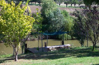Colonial Inn Tamworth - Accommodation NT 3