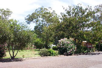 Colonial Inn Tamworth - Accommodation NT 4