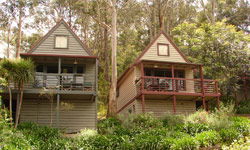 Great Ocean Road Cottages - Accommodation NT 1