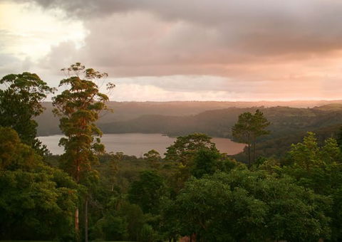 Montville Misty View Cabins - Accommodation NT 0