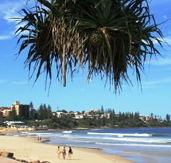 Mariners Caloundra - Accommodation NT