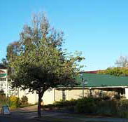 Riverland Motor Inn - Accommodation NT