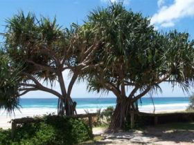 Pacific Surf Absolute Beachfront Apartments - Accommodation NT 0