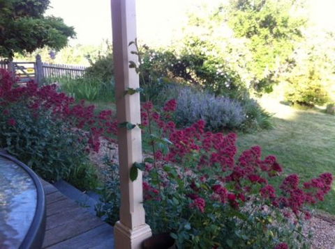 Cookes Cottage - Accommodation NT 2