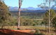 Destiny Boonah Eco Cottage And Donkey Farm - thumb 0