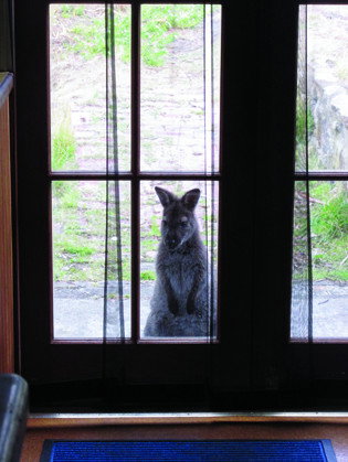 VARUNA - Accommodation NT 4