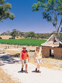 Brinkworth Country Lodge B&b - Accommodation NT 0