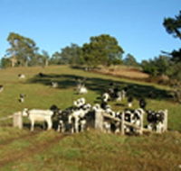 St Columba Cottage - Accommodation NT
