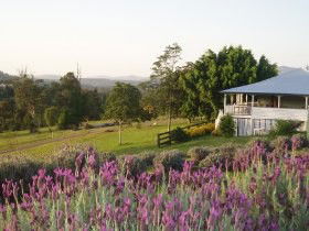 Dayboro QLD Accommodation NT