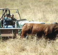 Bullo River Station - Accommodation NT