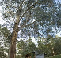 Outpost Restaurant - Accommodation NT