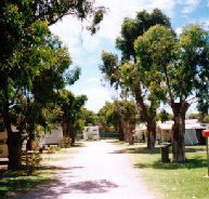 Bathers Paradise Caravan Park - Accommodation NT