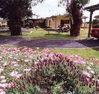 Brigadoon Holiday Units - Accommodation NT