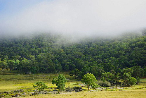 Wellington Vale NSW Accommodation NT