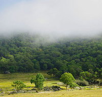 Tor Cottage at Anketell Forest - Accommodation NT