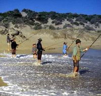 Flippers Beachouse - Accommodation NT