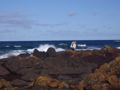 Walkerville South Accommodation - Accommodation NT 1