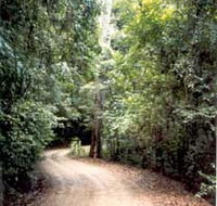 Mt Glorious Getaway Cottages And Conference Centre - Accommodation NT