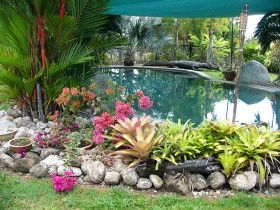 Daintree Wild Bed And Breakfast - Accommodation NT 0