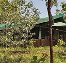 Arnhemland Barramundi Nature Lodge - Accommodation NT