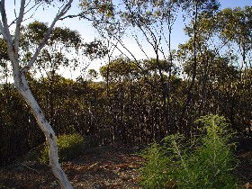 Warding East ACT Accommodation NT