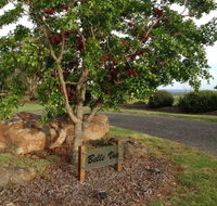 Belle Vue Studio - Accommodation NT