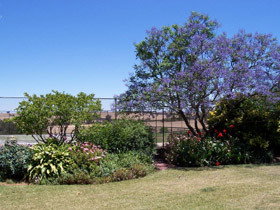 Chuckem Farm - Accommodation NT 0