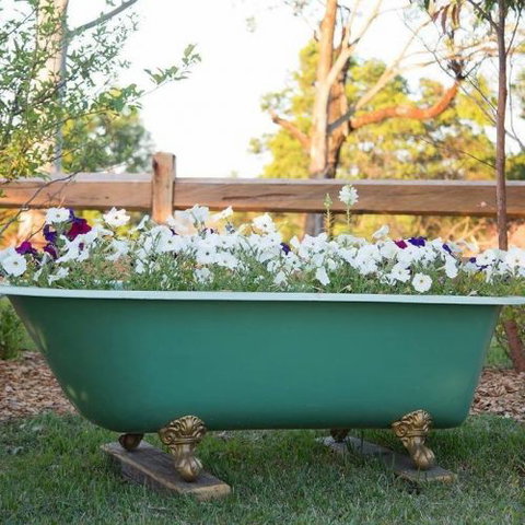 Milton Country Retreat - Accommodation NT 4