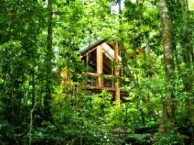 Fur'N'Feathers Rainforest Tree Houses - Accommodation NT 0