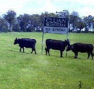 Cluan Homestead - Accommodation NT